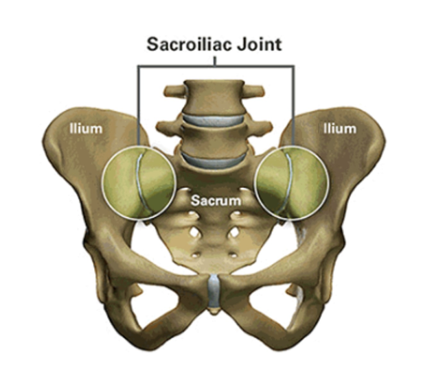 Sacroiliac_(SI)_joint